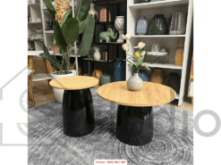 Bàn trà (300 - 1 )